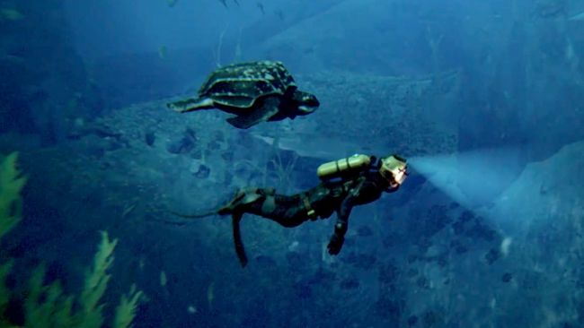 Under the Waves