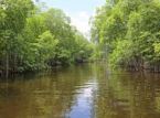 Detienen a un hombre tras pasar 8 a&ntilde;os viviendo en un bosque estatal