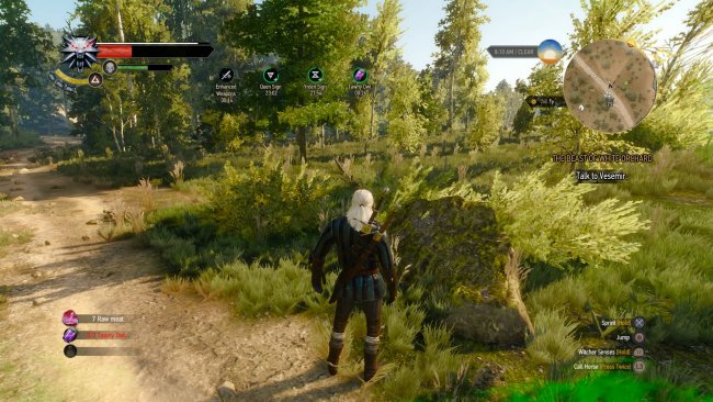 The Witcher 3: Wild Hunt