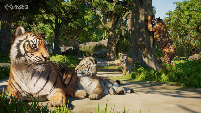 Primeras impresiones con Planet Zoo 2: Una ambiciosa secuela que eleva la fórmula de Planet