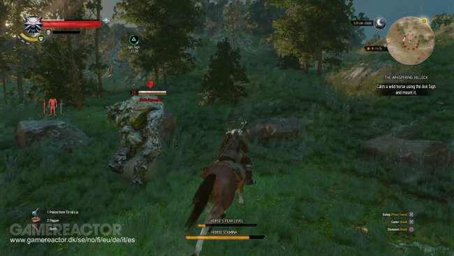 The Witcher 3: Wild Hunt