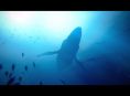 Under the Waves se acerca a su lanzamiento y anuncia edición física en PlayStation y Xbox